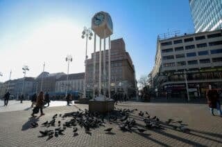 Zagreb: Mjesto na kojem su zatečeni mrtvi golubovi