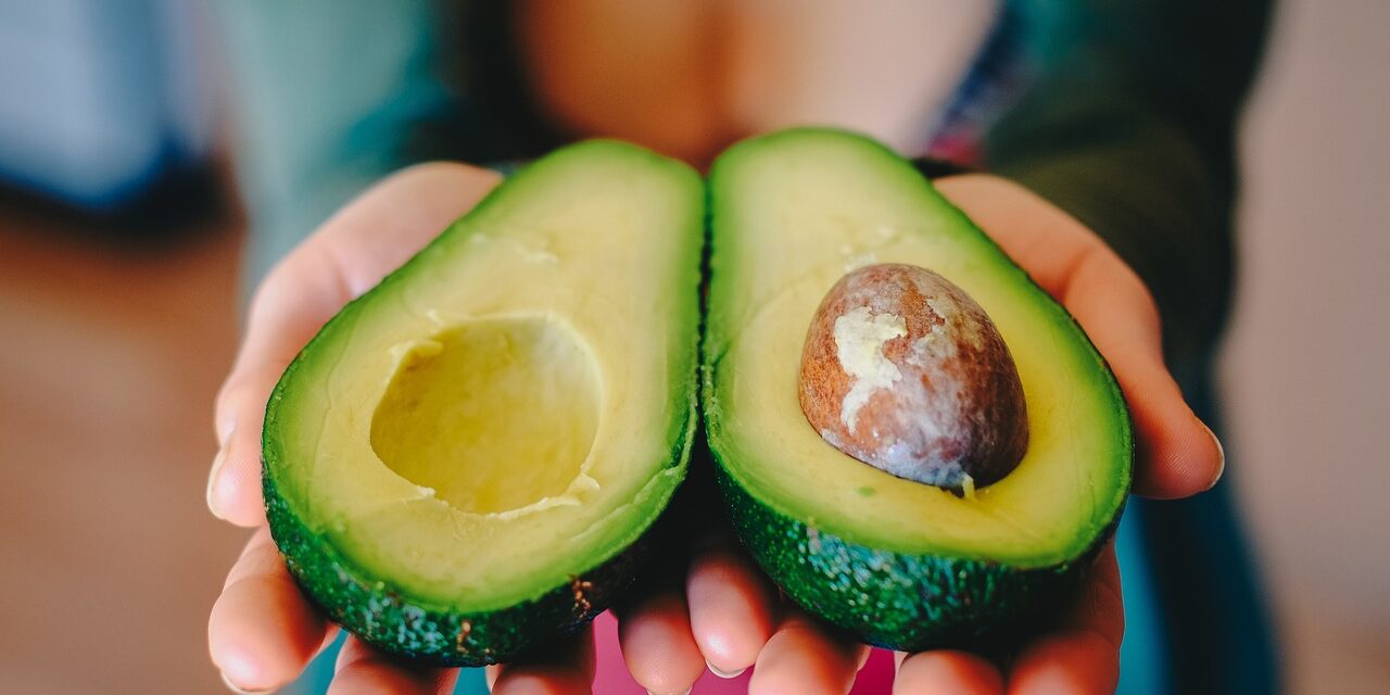 avocado-2115922_1280