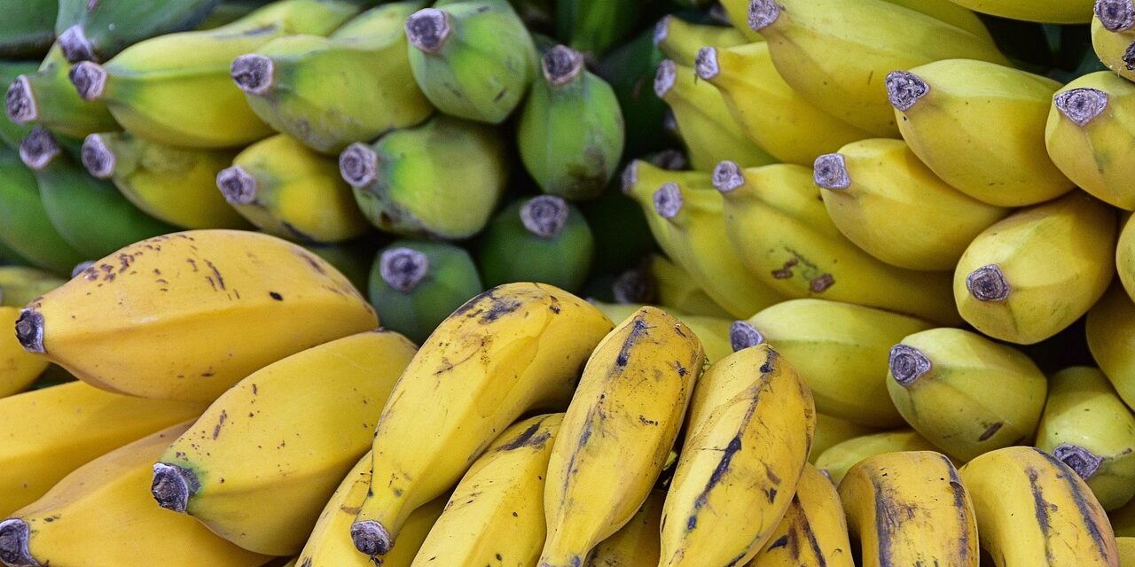 bananas-8364511_1280