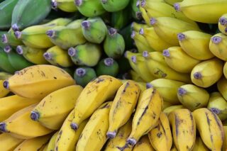 bananas-8364511_1280