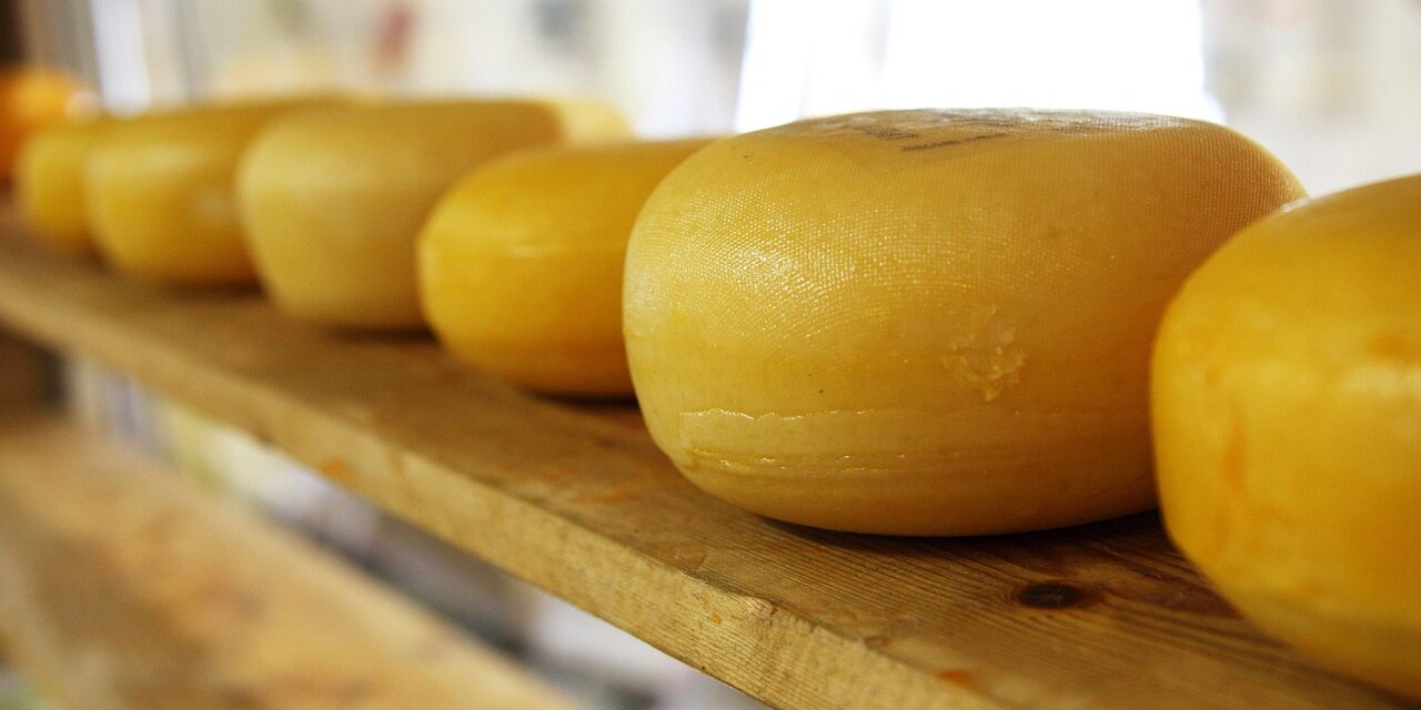 cheese-2785_1280