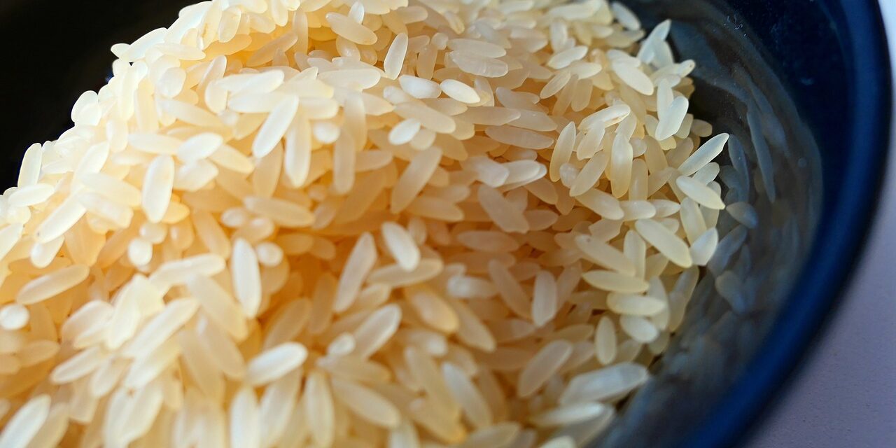 rice-2380808_1280
