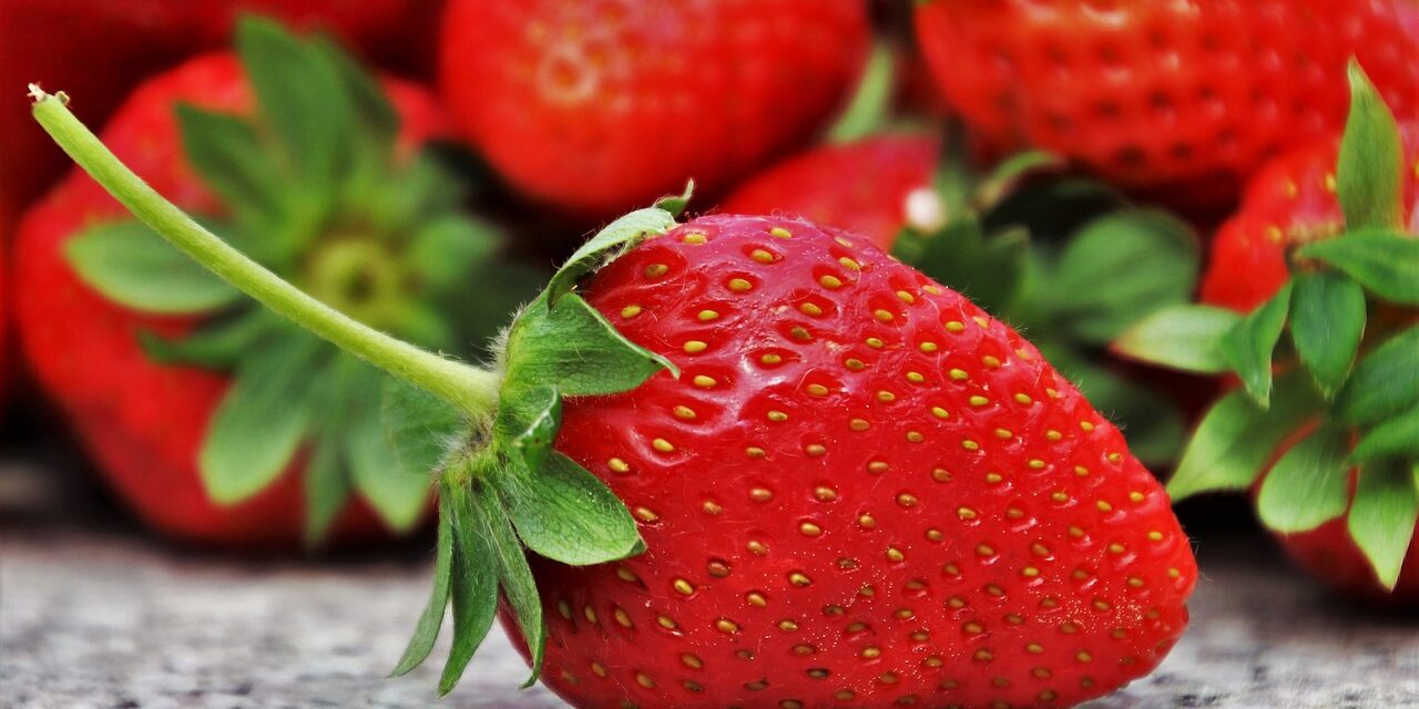 strawberries-3359755_1280