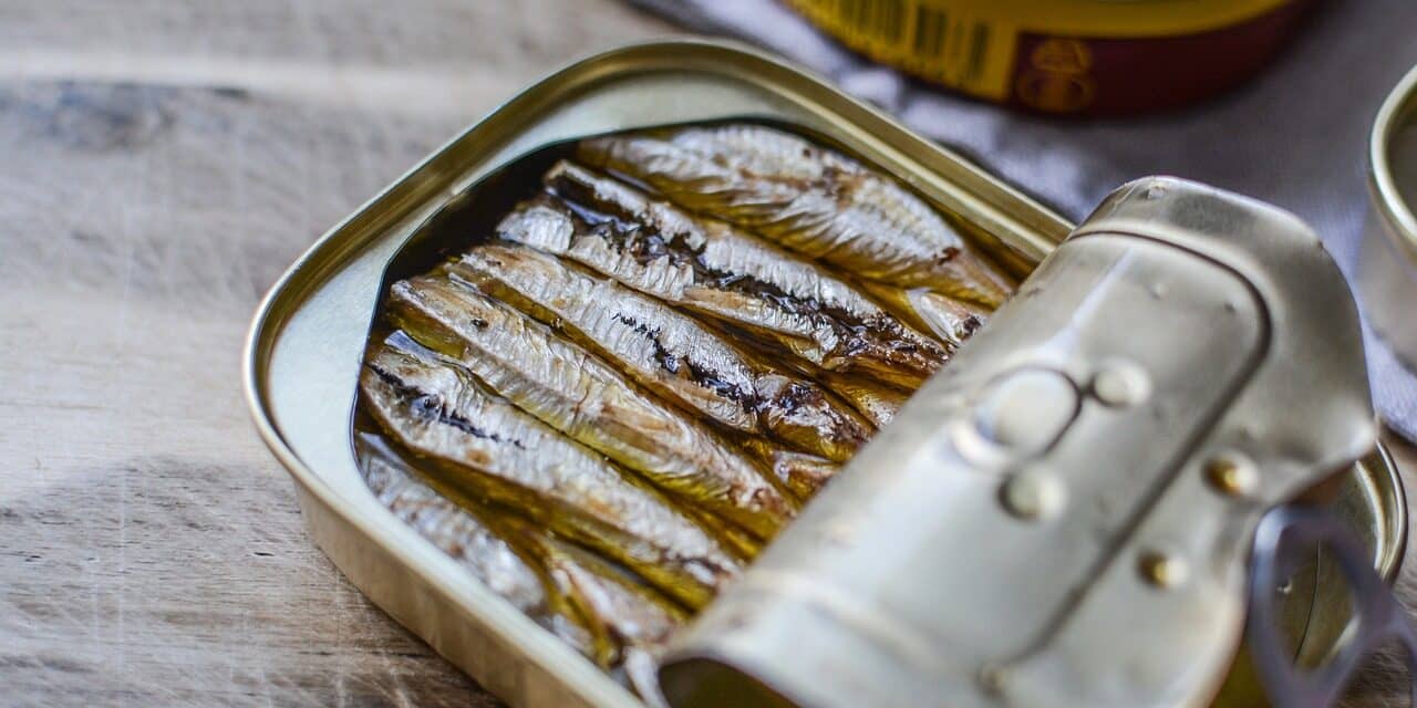 fish-3287443_1280