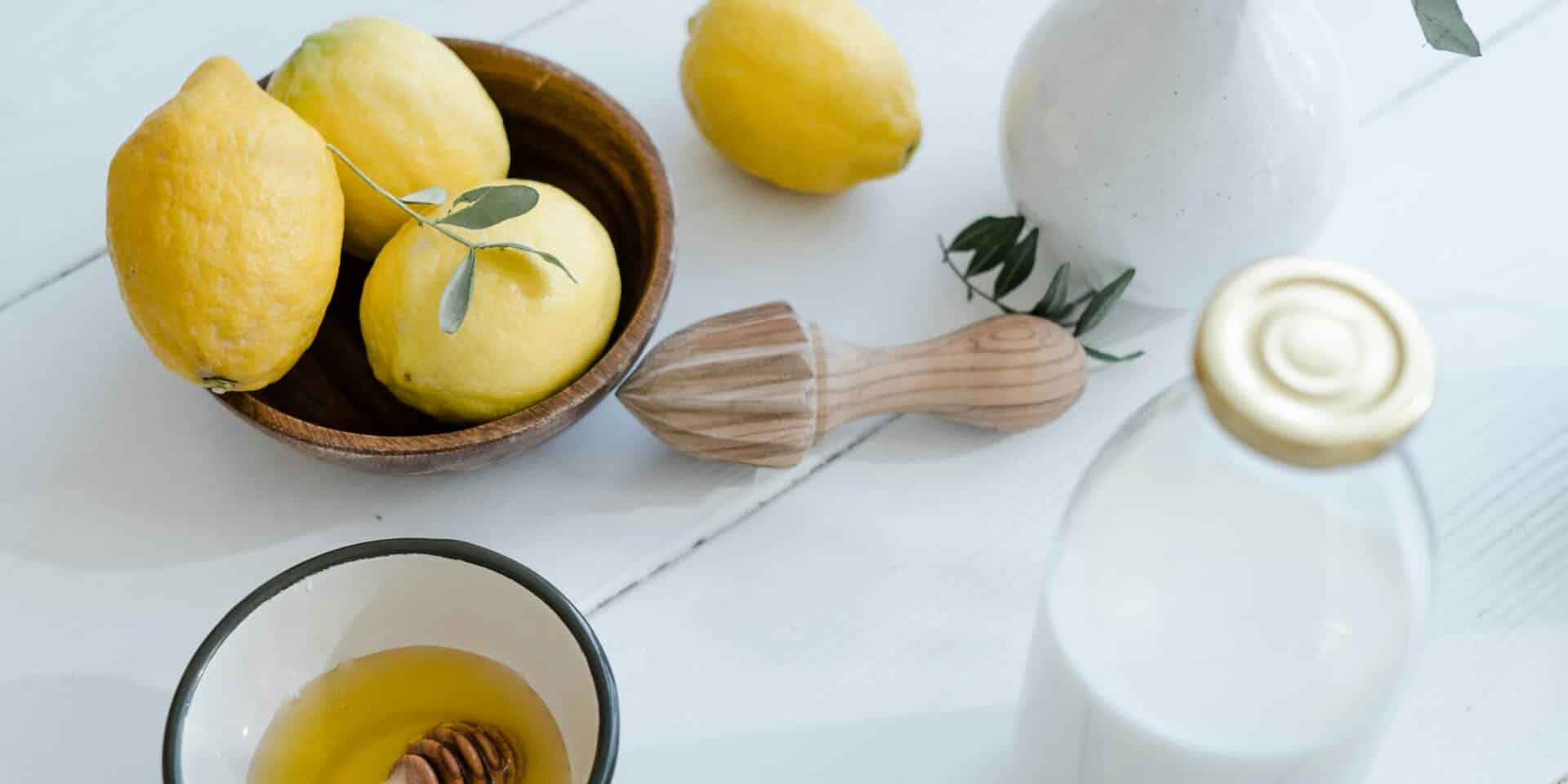probava metabolizam prirodni lijek alkalizacija imunitet
