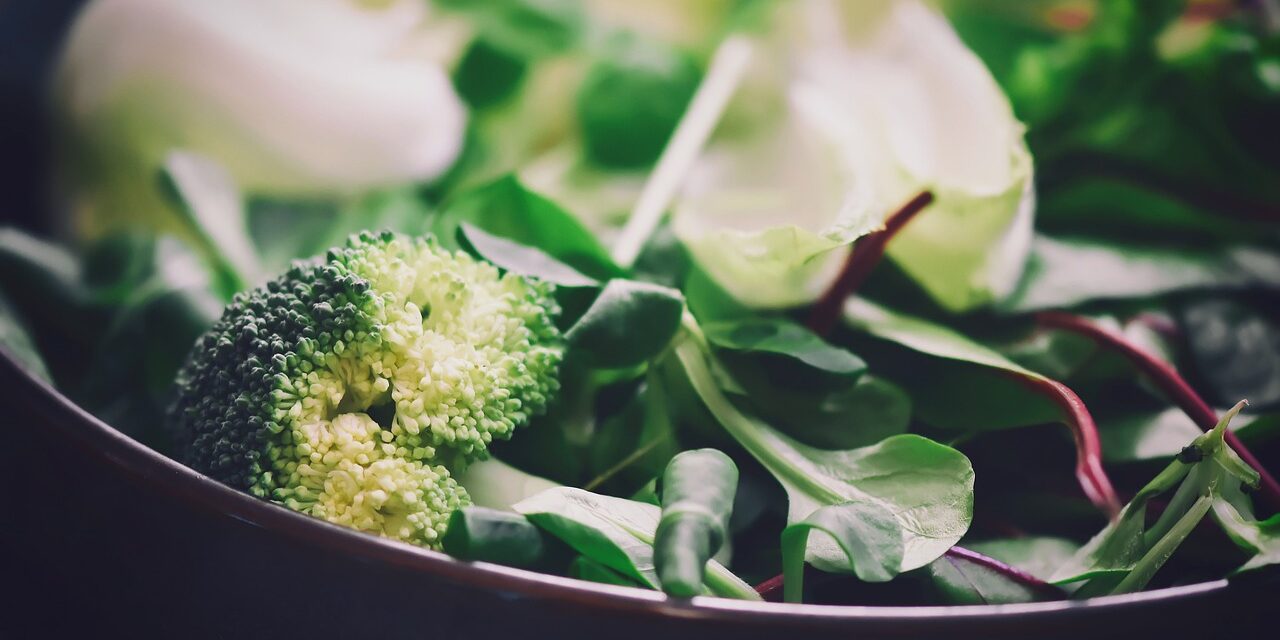 salad-4831437_1280