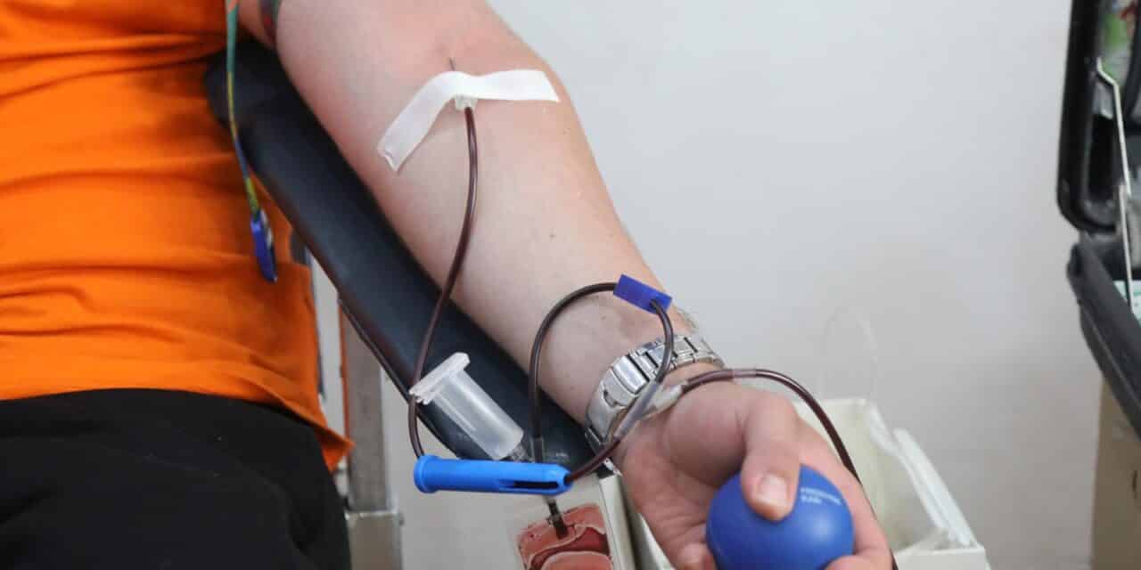 Šibenik: Organizirano je dobrovoljno darivanje krvi