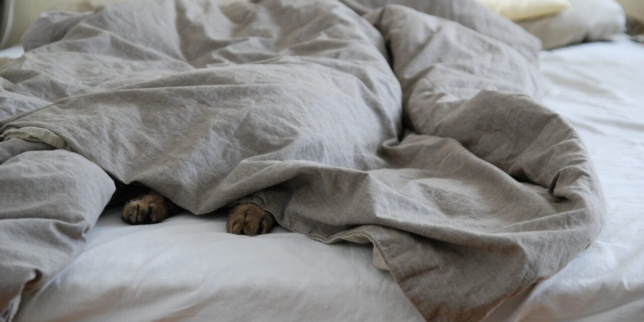 bed-1358907_1280