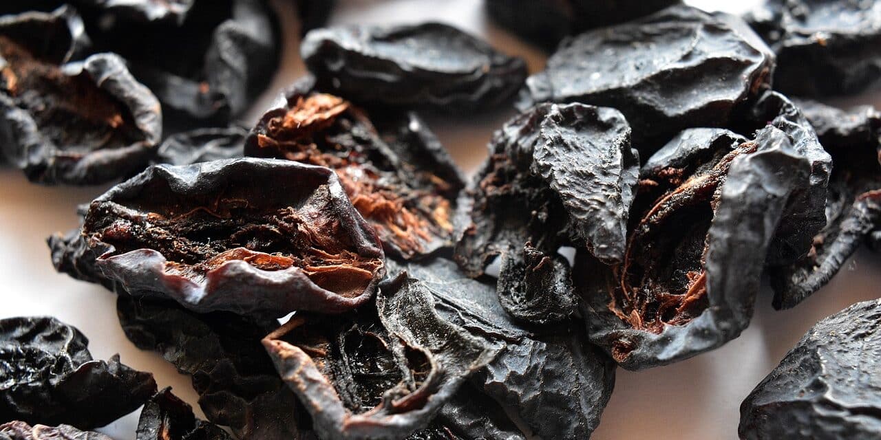 dried-plums-6947141_1280