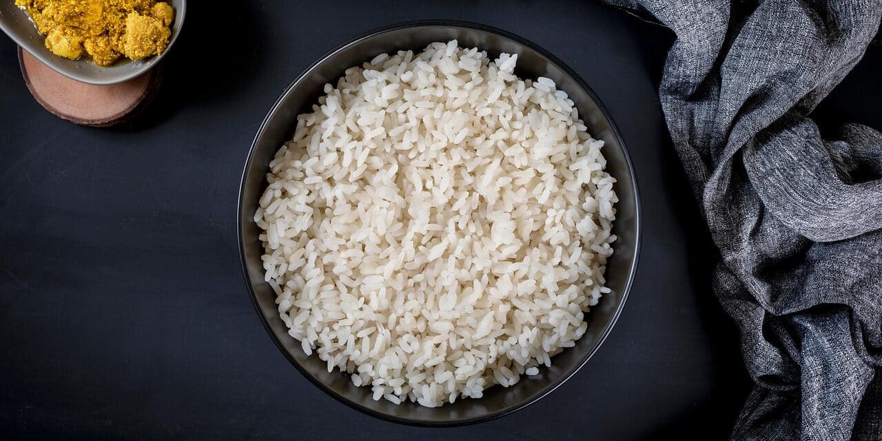 rice-8145475_1280