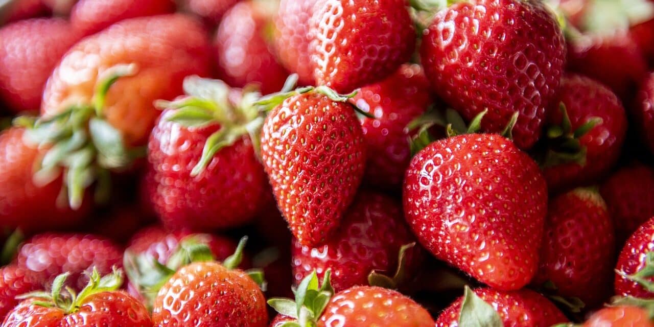 strawberry-5079237_1280