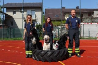 Zagreb: Tim u DVD-u Zapad  radi s potra�nim psima
