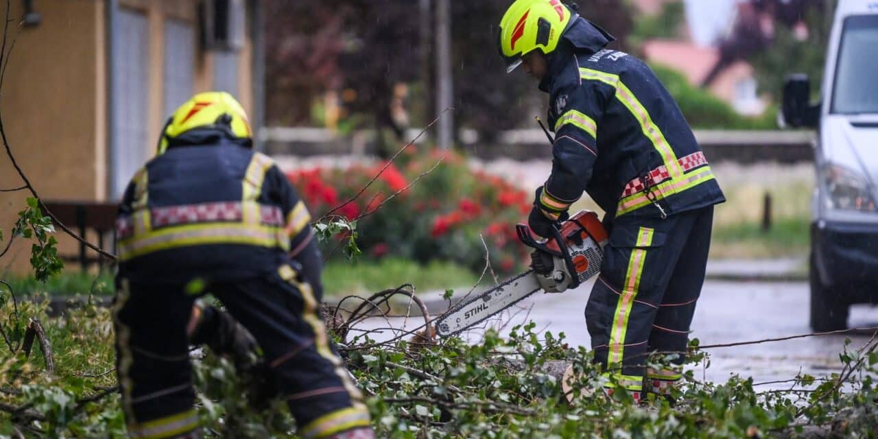 Zagreb: Vatrogasci u akciji nakon pada stabla na automobile