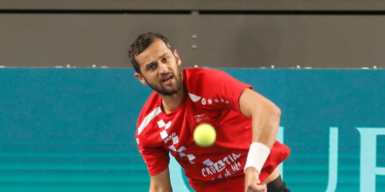 mate pavić
