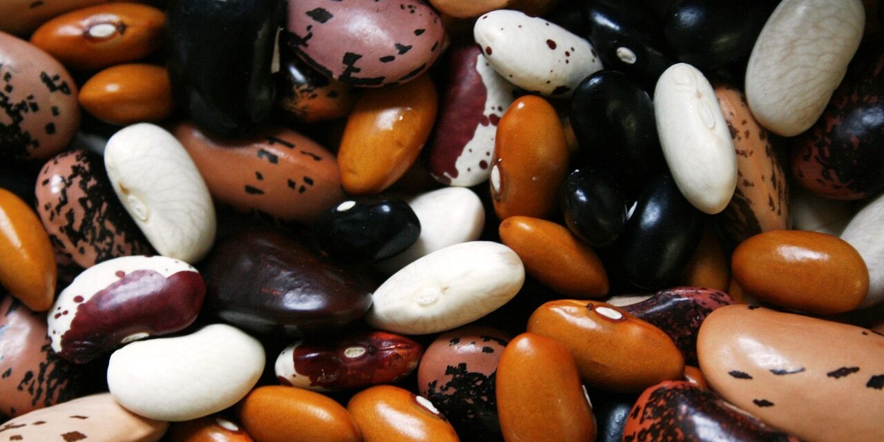 beans-1001032_1280