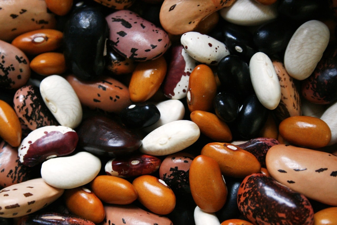beans-1001032_1280