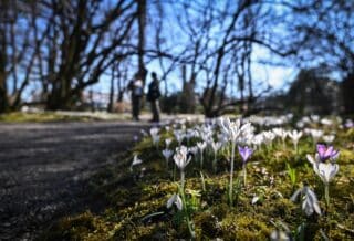 Zagreb: Reportaža iz Botaničkog vrta