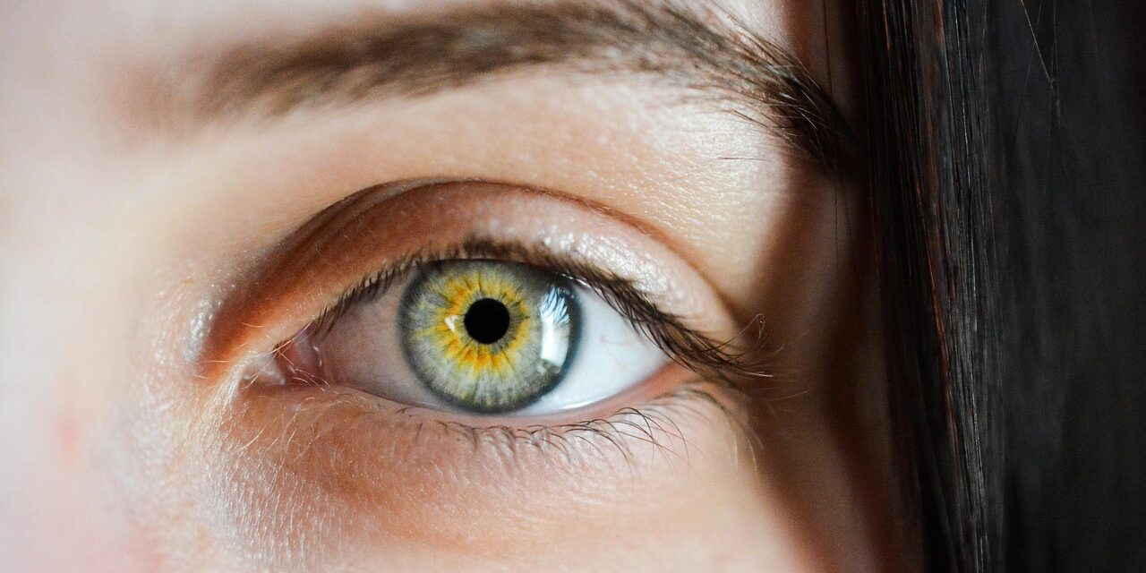 eye-2340806_1280