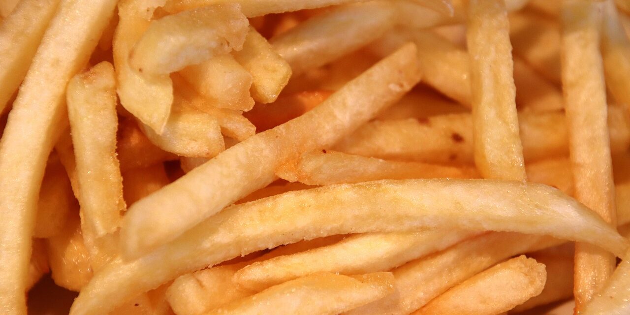 french-fries-7076736_1280