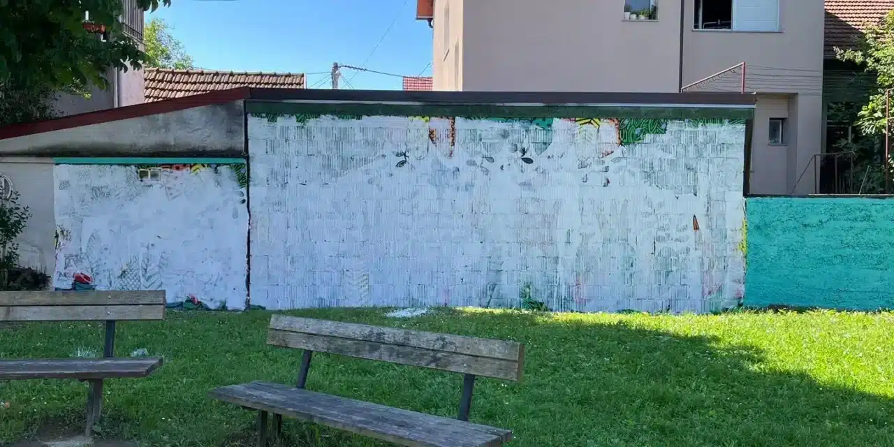 500036900_1378312683822576_7633911866472860887_n.jpg