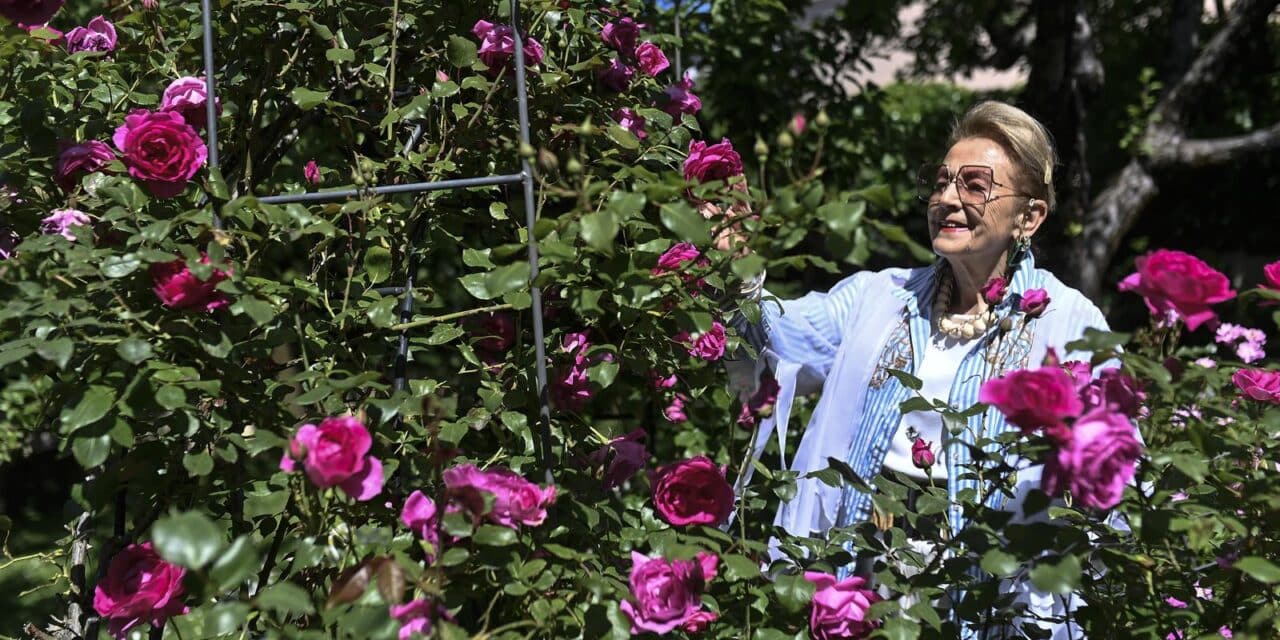 Zagreb: Ksenija Urličić u svom vrtu za koji je dobila nagradu Floraarta