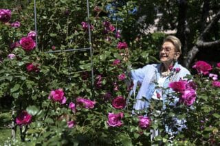 Zagreb: Ksenija Urličić u svom vrtu za koji je dobila nagradu Floraarta