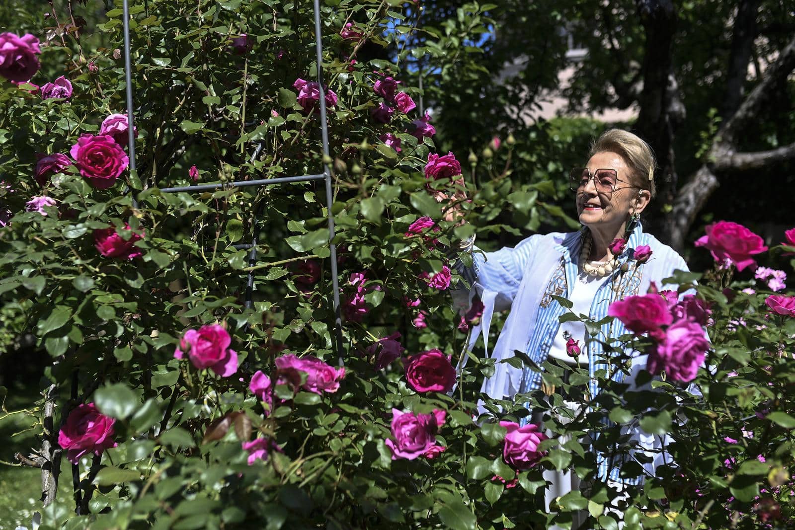 Zagreb: Ksenija Urličić u svom vrtu za koji je dobila nagradu Floraarta