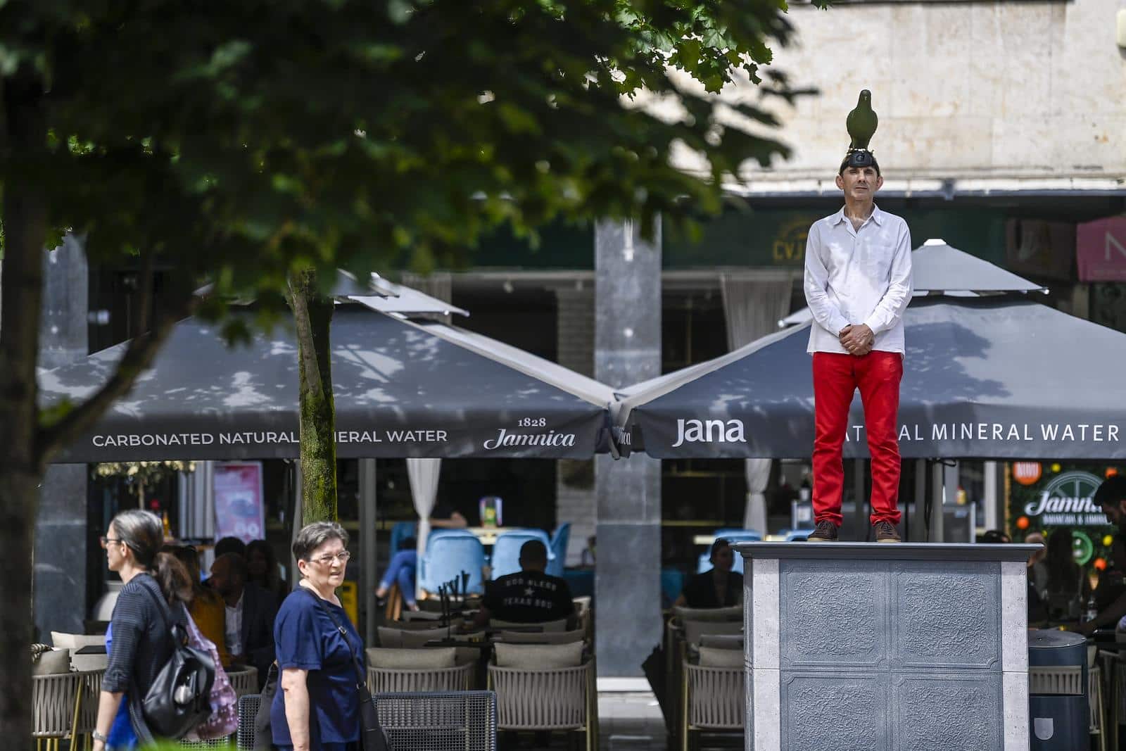 Zagreb: Noć Performansa – Siniša Labrović – A monument to the pigeon na Cvjetnom trgu