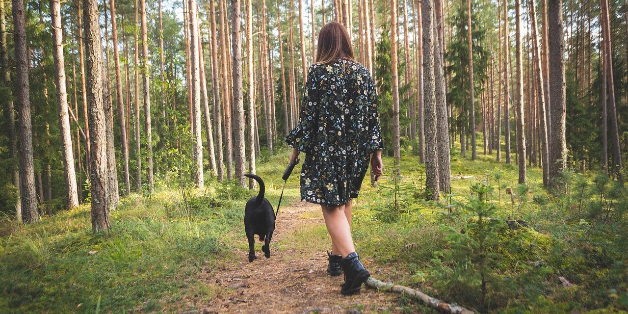 dog-4609870_1280