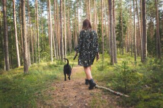 dog-4609870_1280