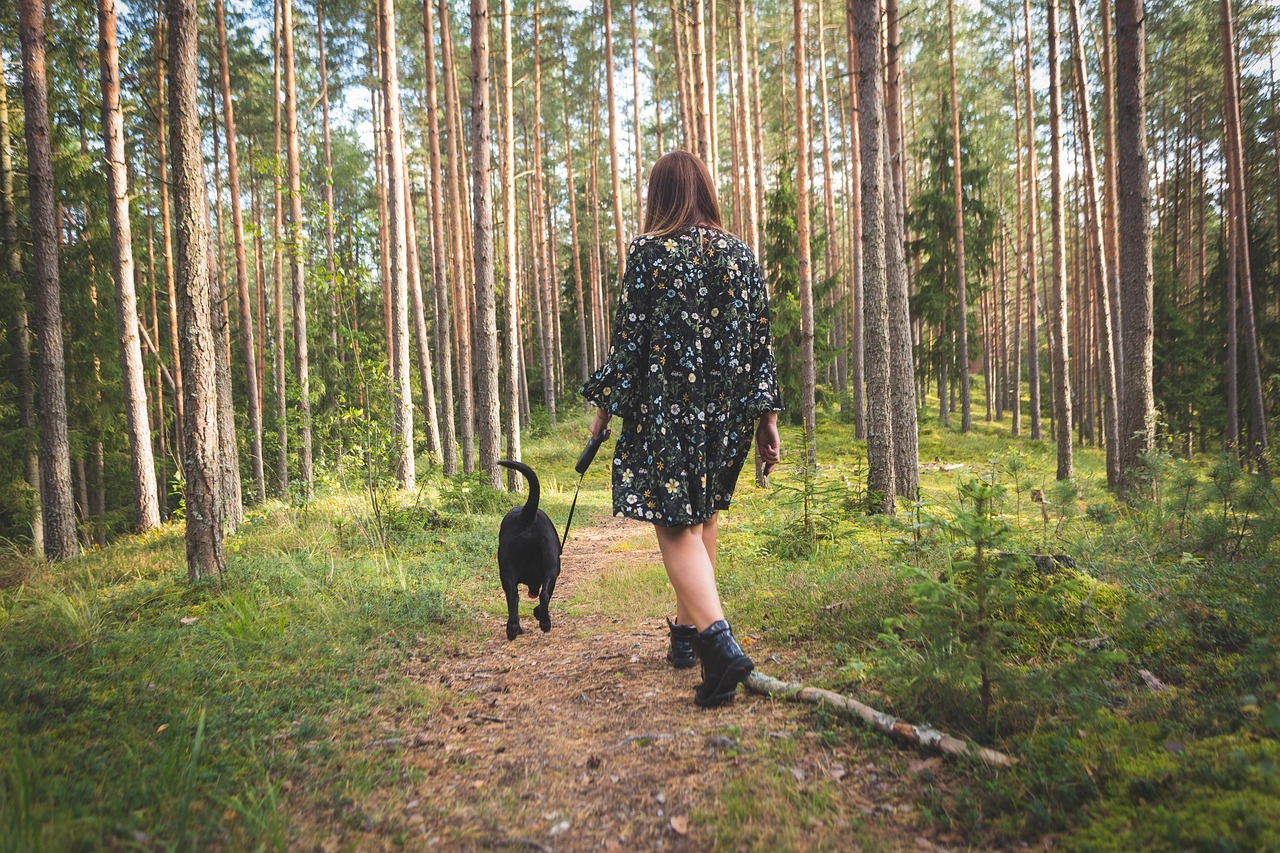 dog-4609870_1280