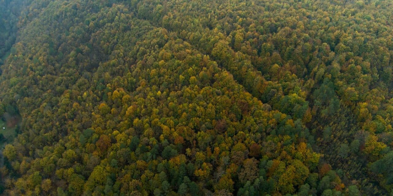 Planina Ozren kraj općine Petrovo poznata je po bogatim šumama ali joj prijete rudnici i geološka istraživanja