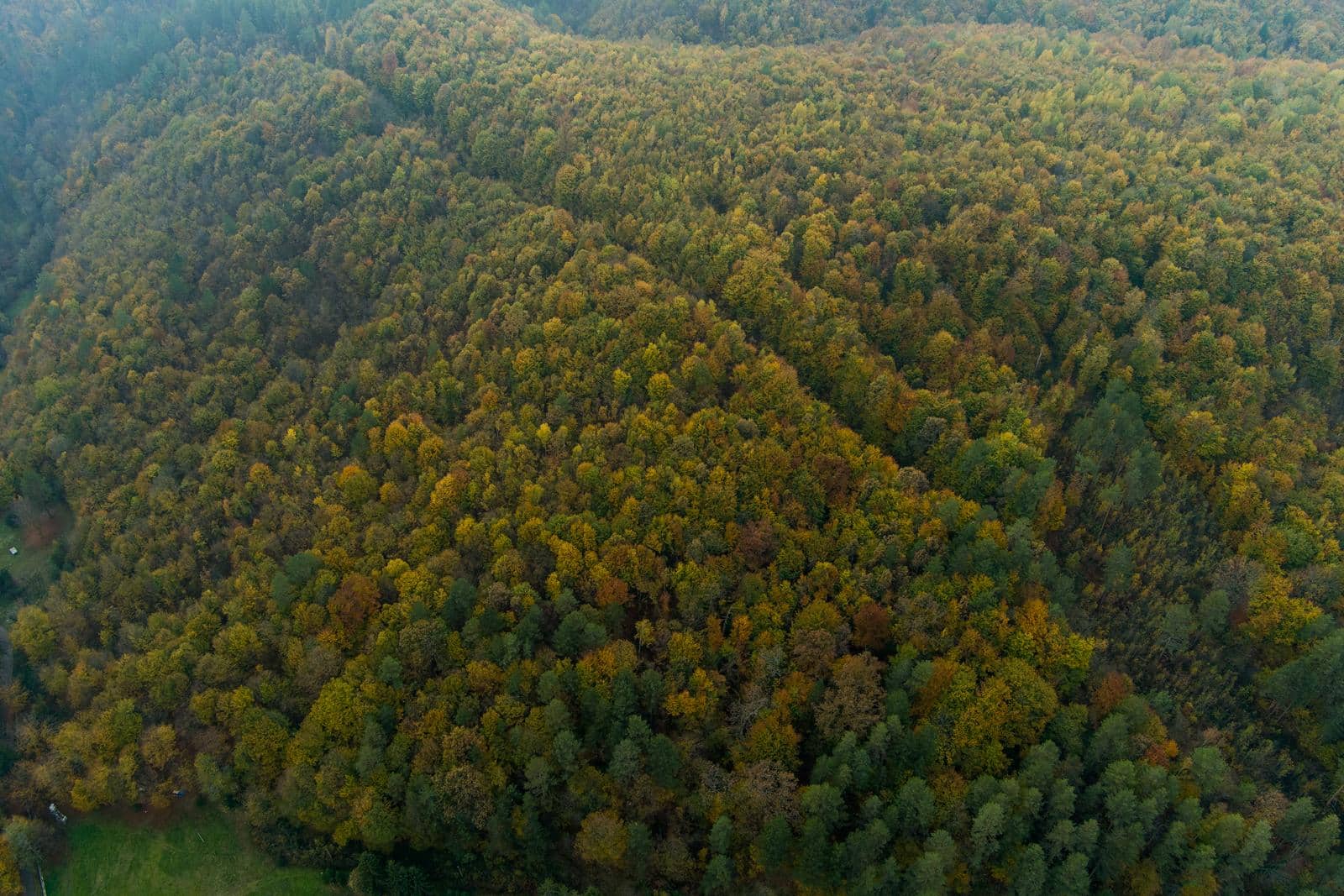 Planina Ozren kraj općine Petrovo poznata je po bogatim šumama ali joj prijete rudnici i geološka istraživanja