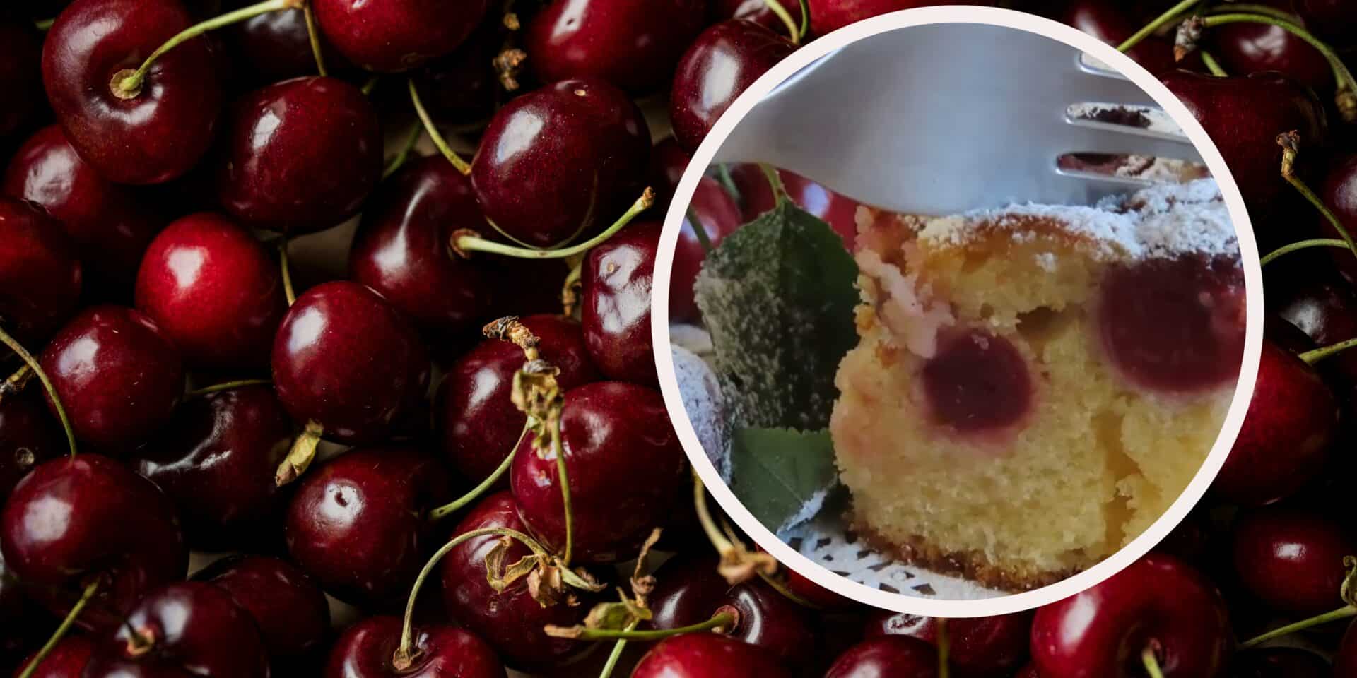 trešnje mehlspajz