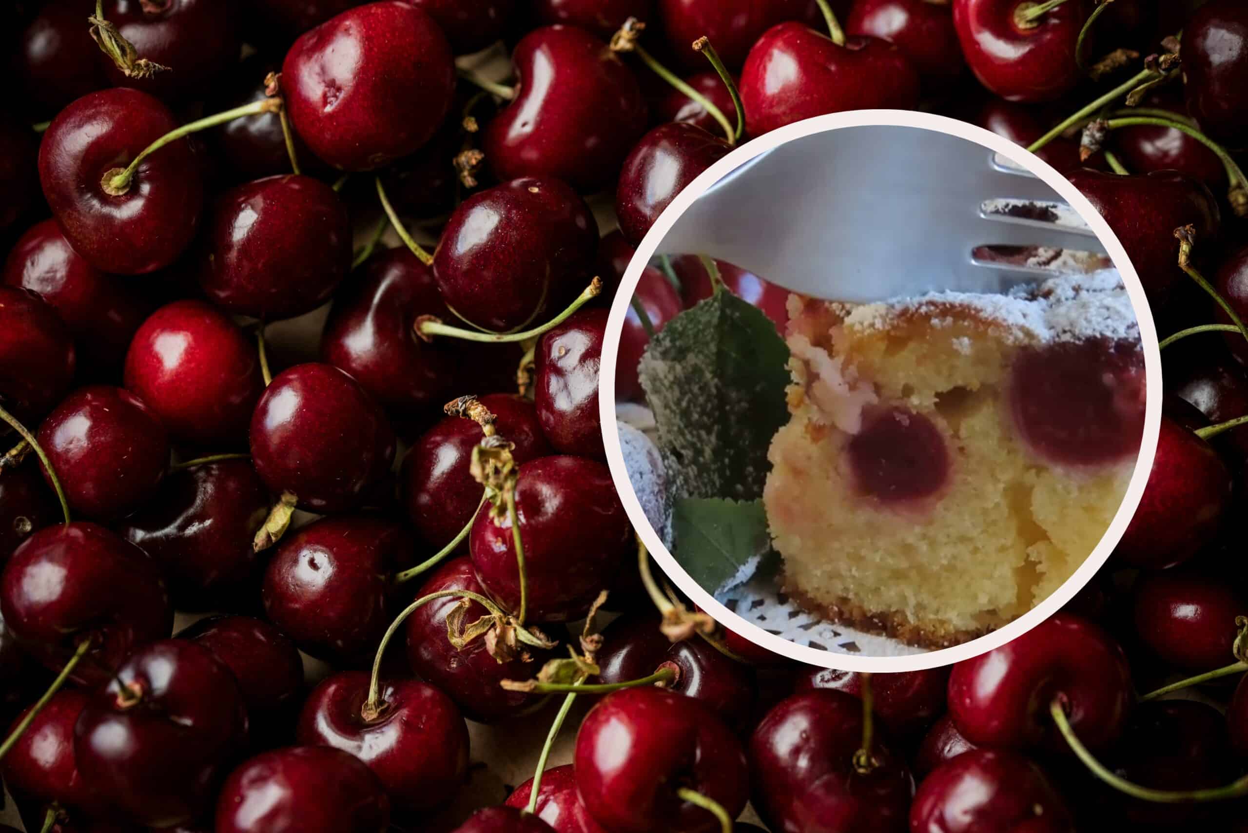 trešnje mehlspajz