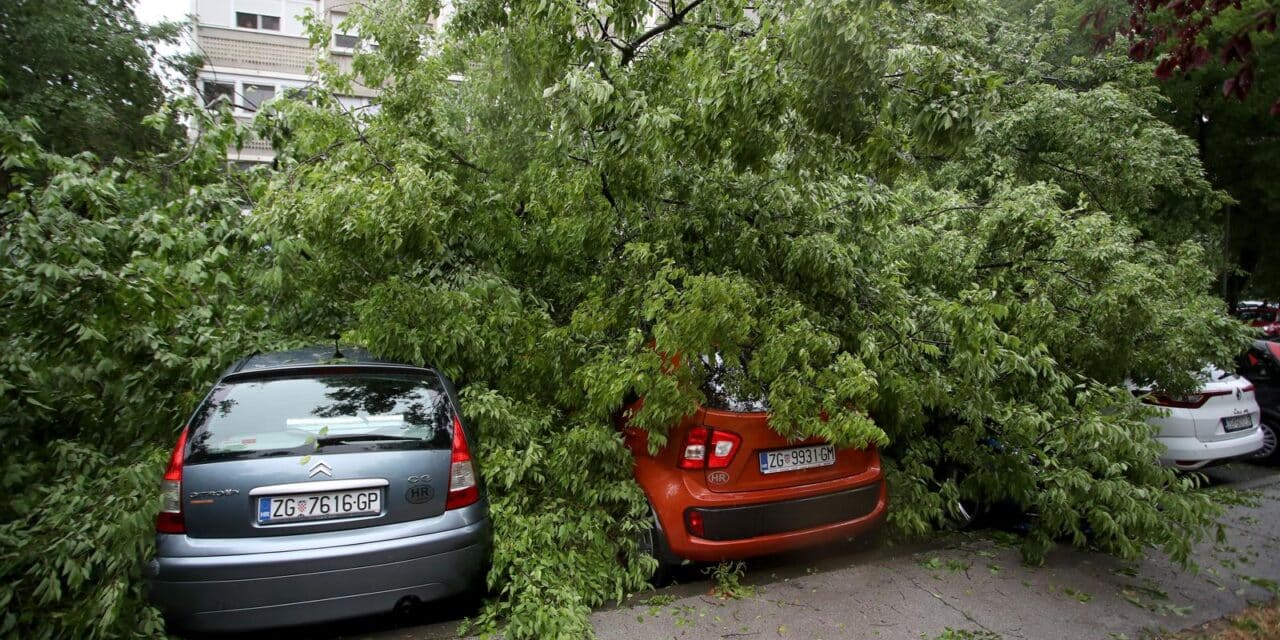 Zagreb: Na četiri automobila srušilo se stablo tijekom nevremena
