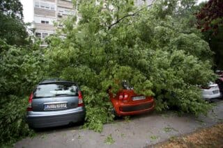 Zagreb: Na četiri automobila srušilo se stablo tijekom nevremena