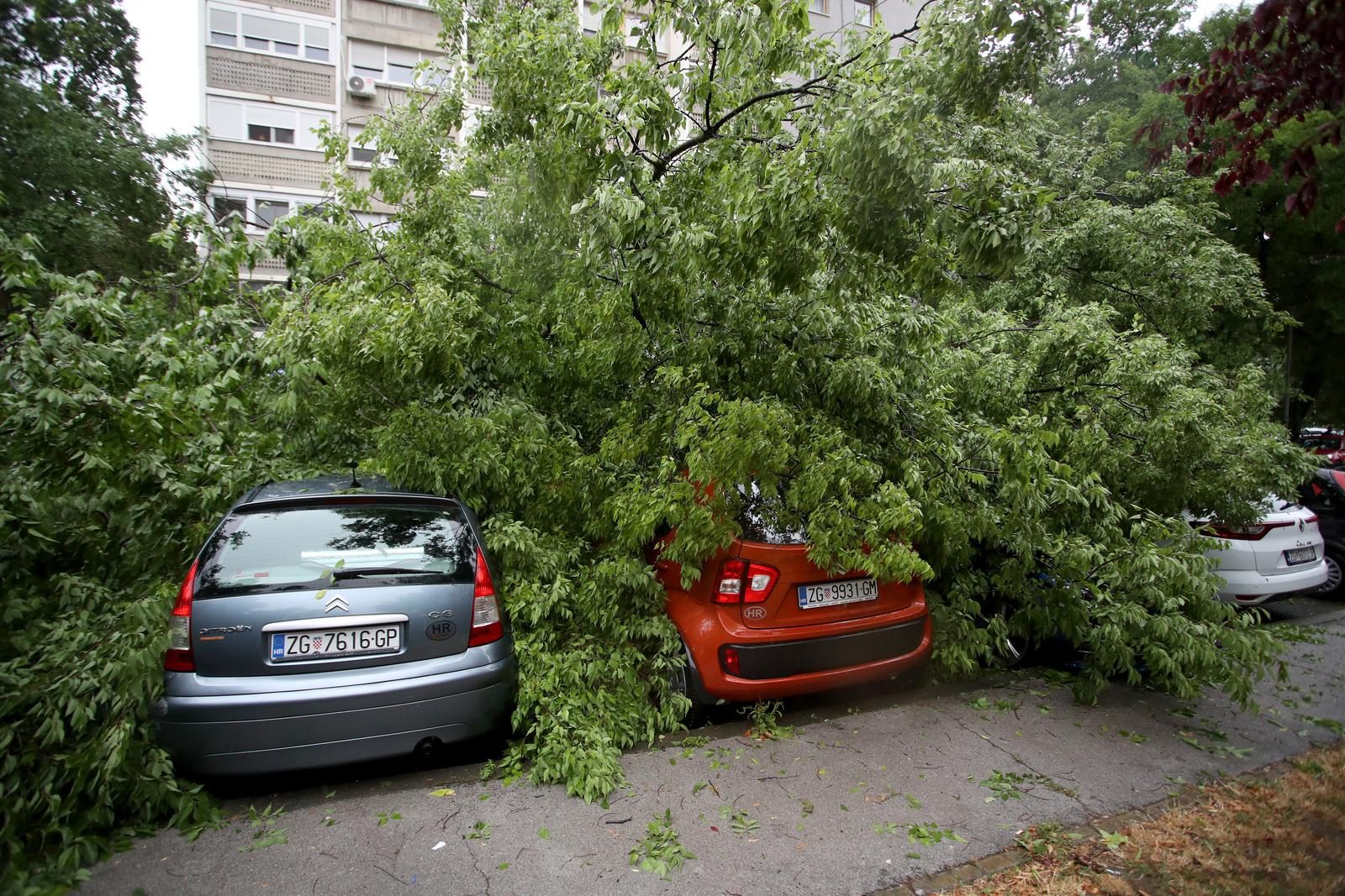 Zagreb: Na četiri automobila srušilo se stablo tijekom nevremena