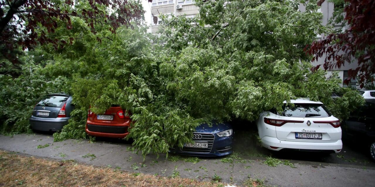 Zagreb: Na četiri automobila srušilo se stablo tijekom nevremena