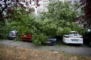 Zagreb: Na četiri automobila srušilo se stablo tijekom nevremena