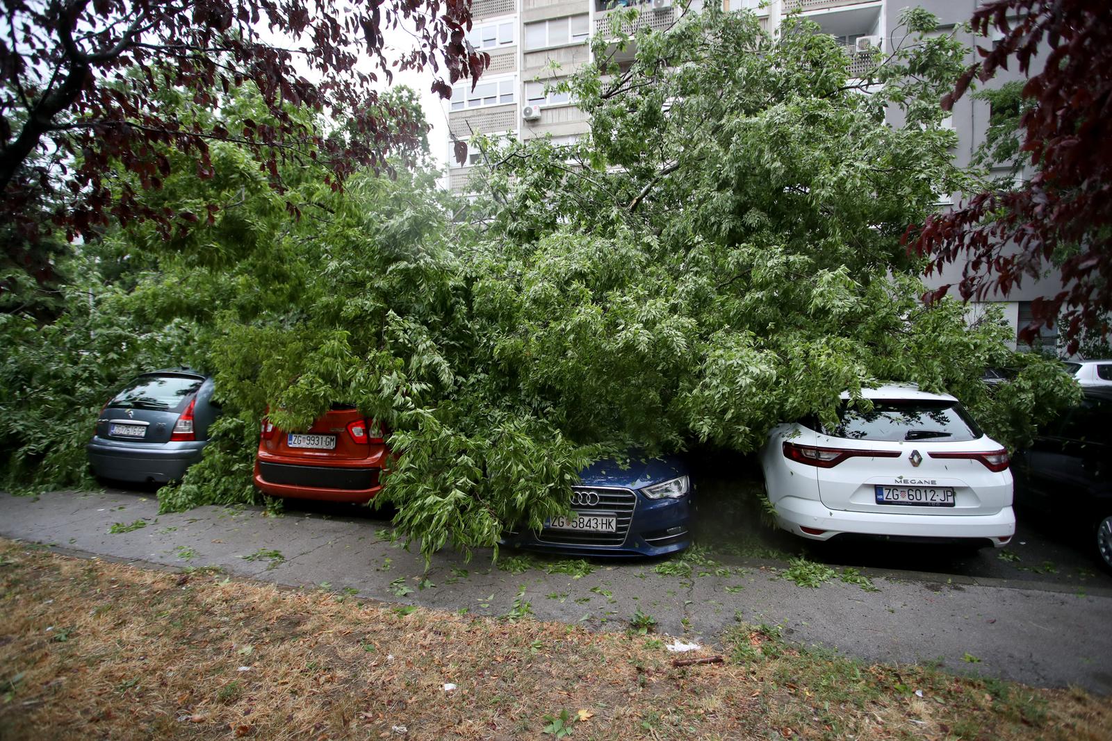 Zagreb: Na četiri automobila srušilo se stablo tijekom nevremena