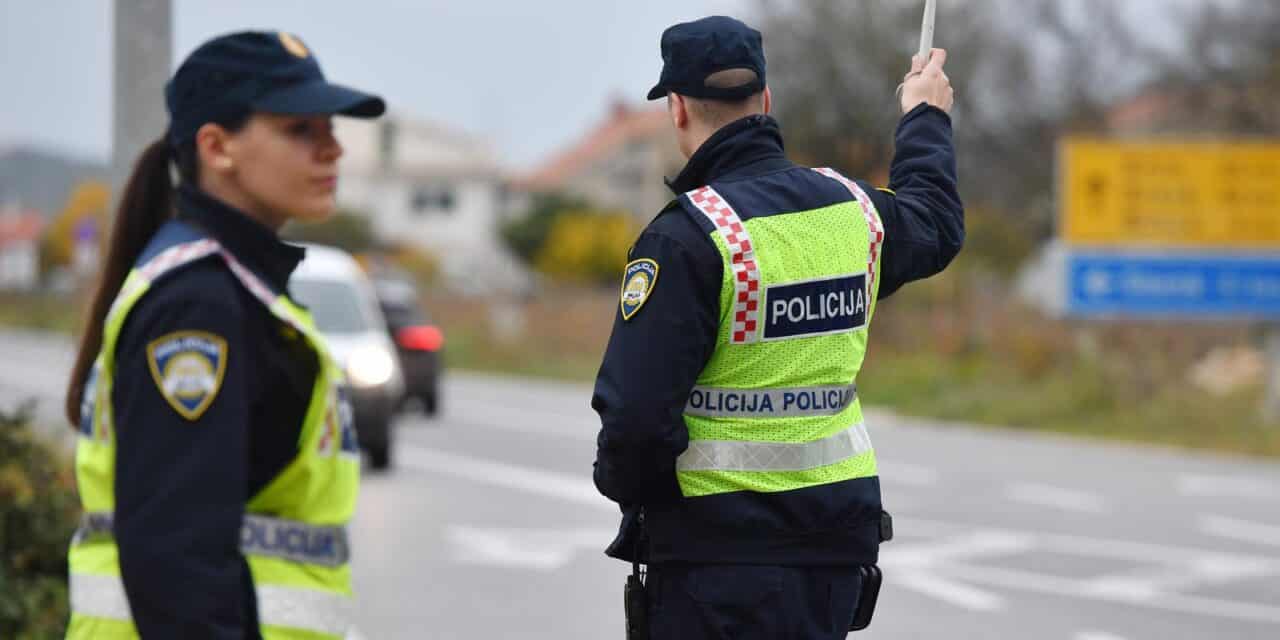 palica policija