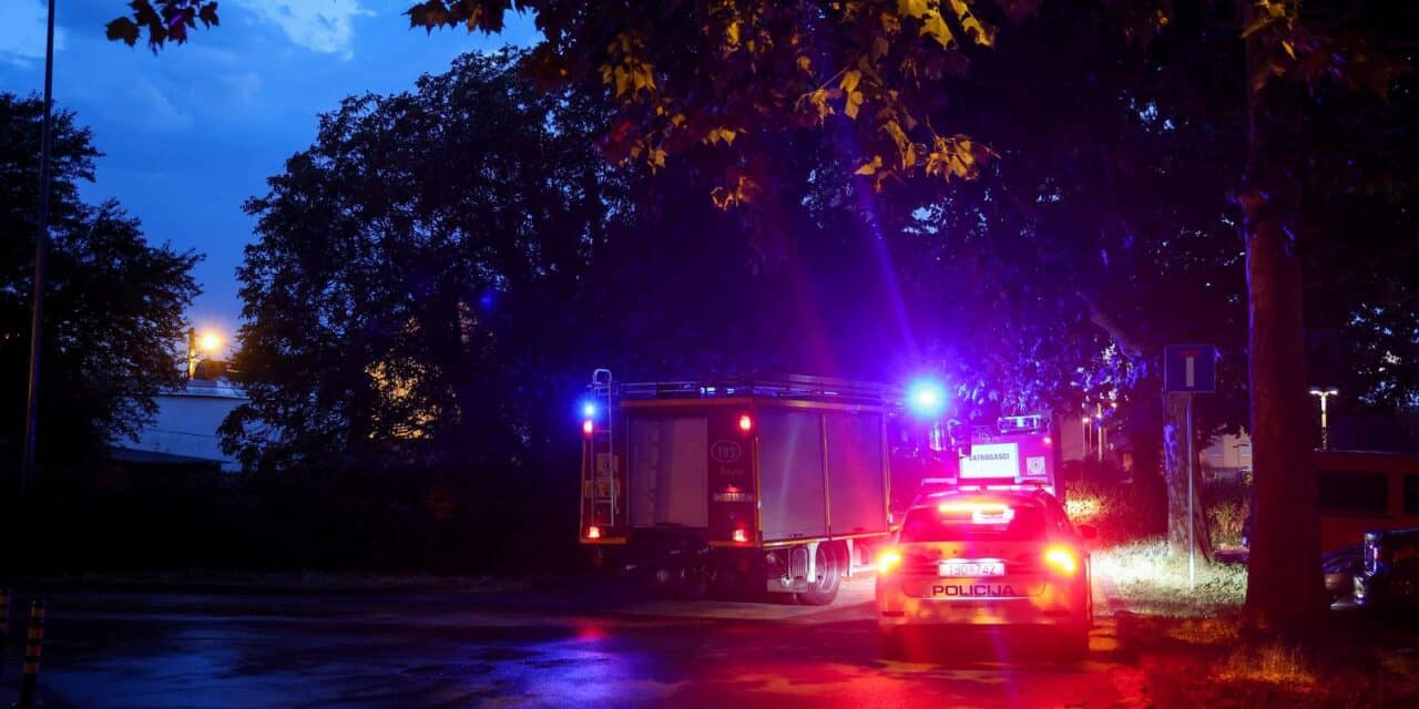 Zagreb: Vatrogasci uklanjaju stabla koja su pala na cestu kod Vukovarske