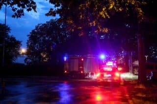 Zagreb: Vatrogasci uklanjaju stabla koja su pala na cestu kod Vukovarske