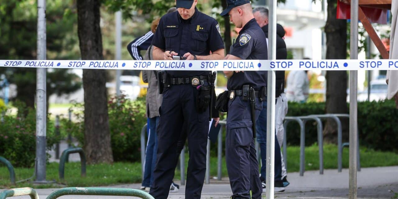 policija