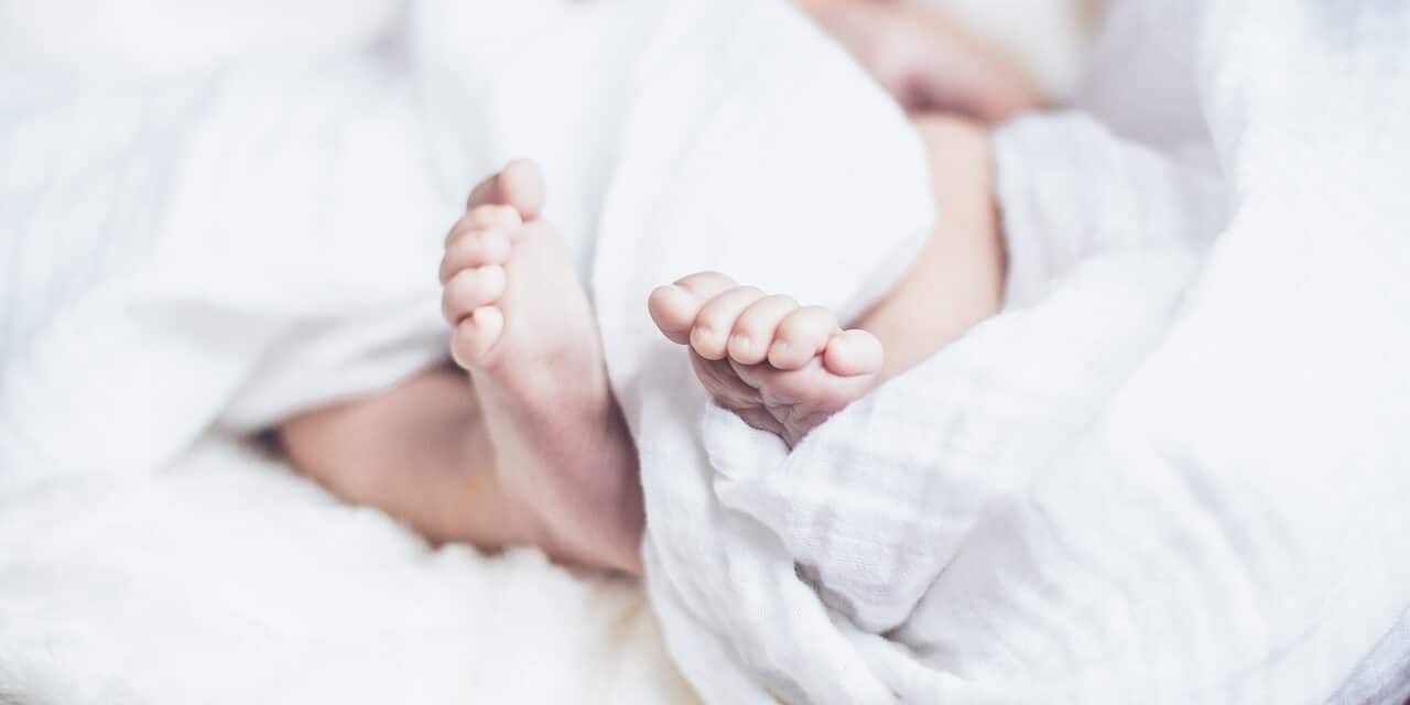 baby-1866623_1280