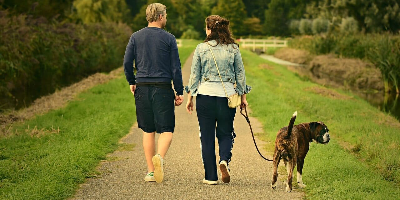 couple-3687274_1280