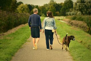 couple-3687274_1280