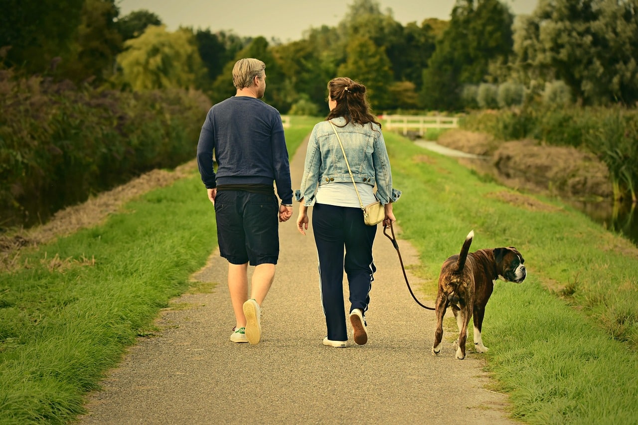 couple-3687274_1280