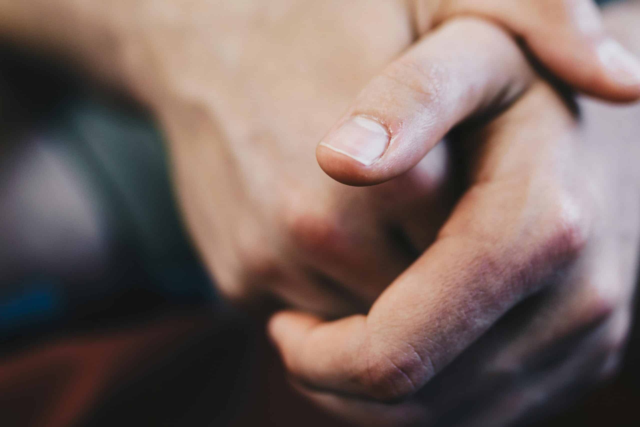 pexels-joaojesusdesign-808960